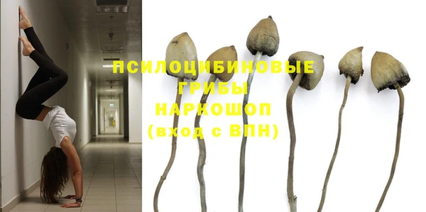 дмт Балахна