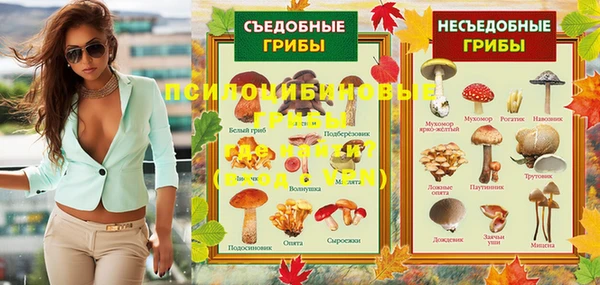 дмт Балахна